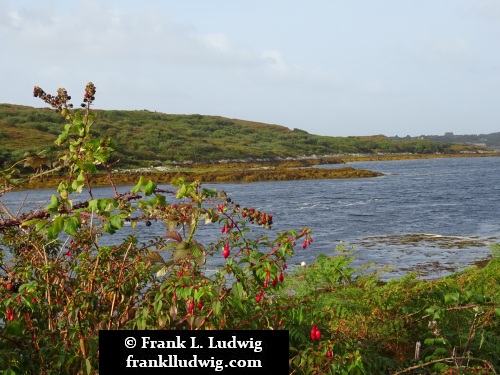 Clifden